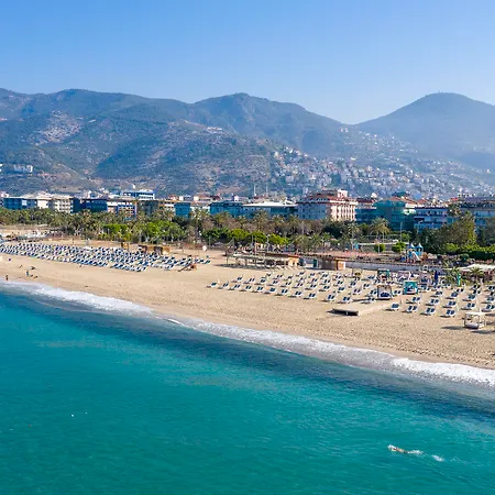Aslan Alanya