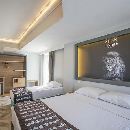 فندق Aslan 2*