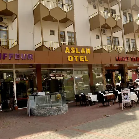 酒店 Aslan 阿拉尼亚