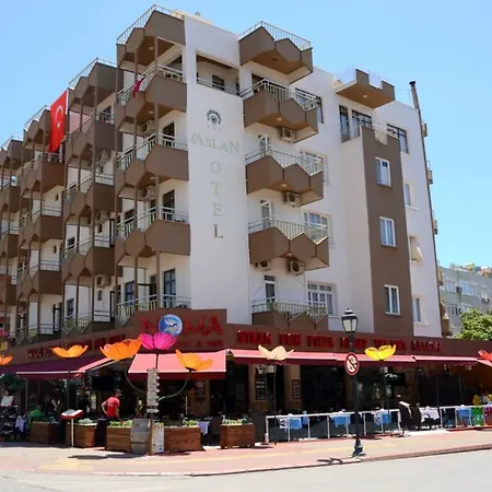 Aslan فندق
